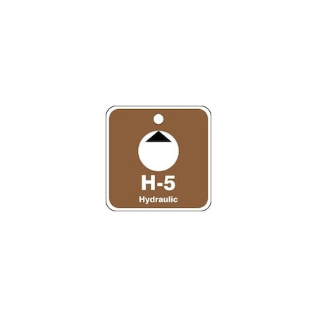 Accuform Energy Source ID Tag, H-5 HYDRAULIC, 2.5in x 2.5in, Plastic, 5PK TDK505VPM